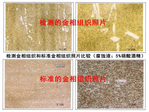 高速鋼經(jīng)營部